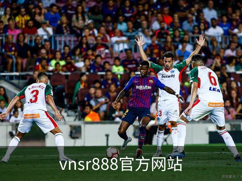 vnsr888官方网站介绍